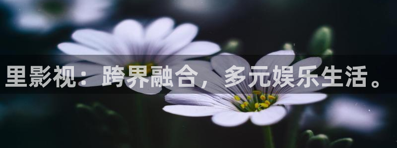 汤姆影院 在线播放